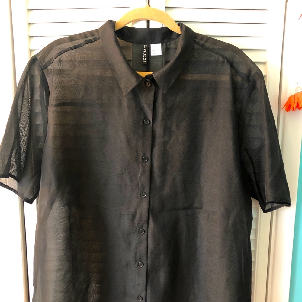 H&M Sheer Top
